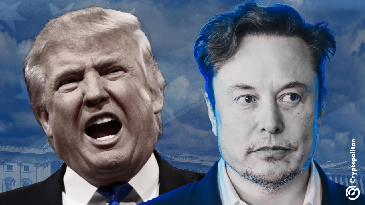 When will Elon Musk have to part ways with Trump as the Tesla market crashes?