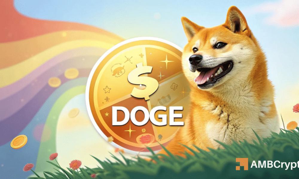 Dogecoin 价格下跌,395K 钱包重新激活 - 明显迹象?