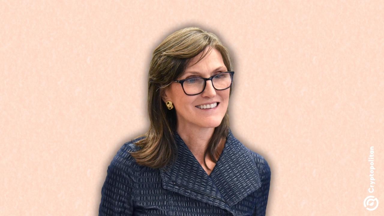 Cathie Wood：支持以太坊在隐私和规模方面的重大赌注