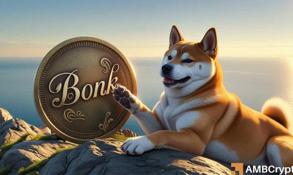 Revamping, Adopting, and Skyrocketing: How BONK Prices Quickly Reach New Levels