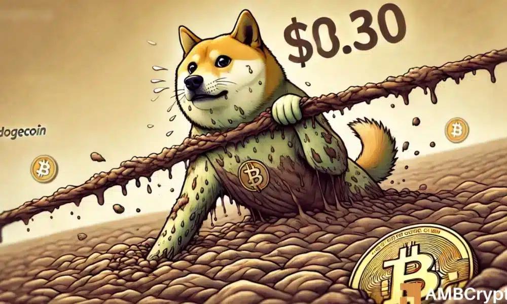 Can Dogecoin Reach <img src=