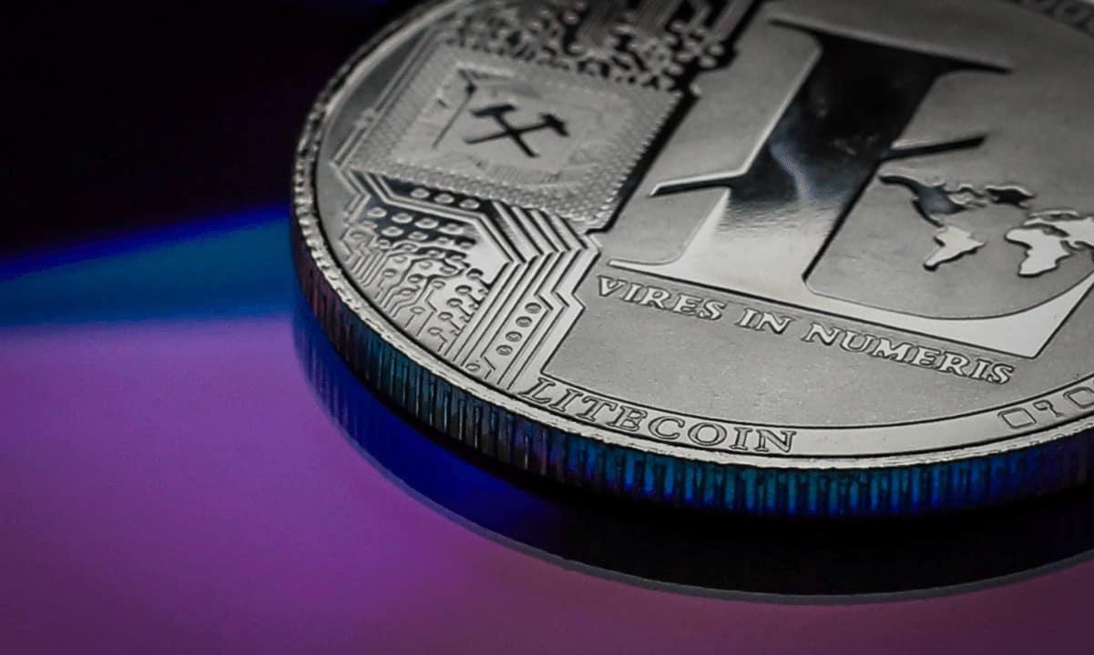 莱特币价格大涨17%,鲸鱼积极增持现货ETF