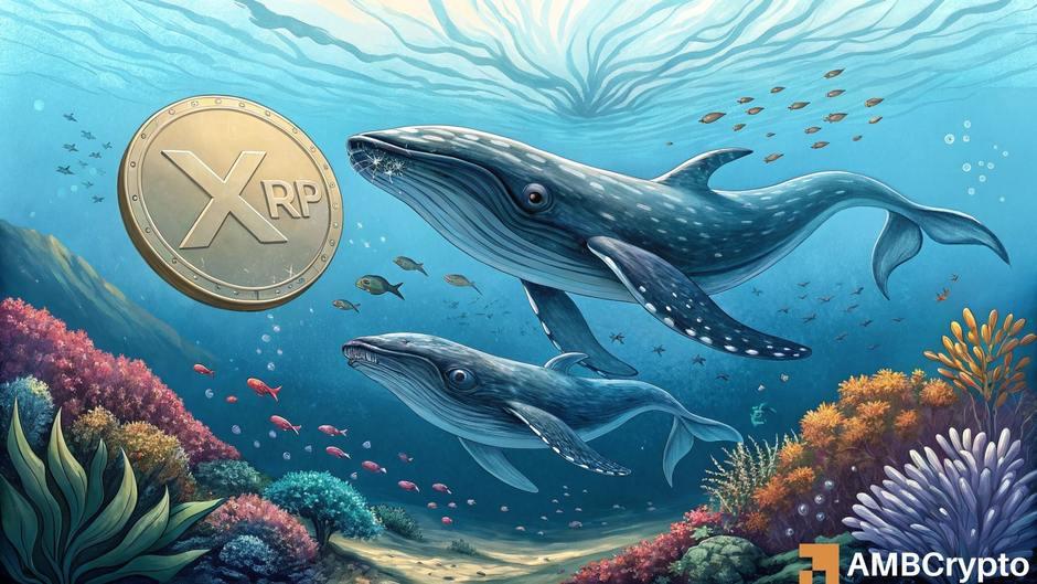 XRP价格达到7年高点,市值达到38亿美元:未来如何发展?