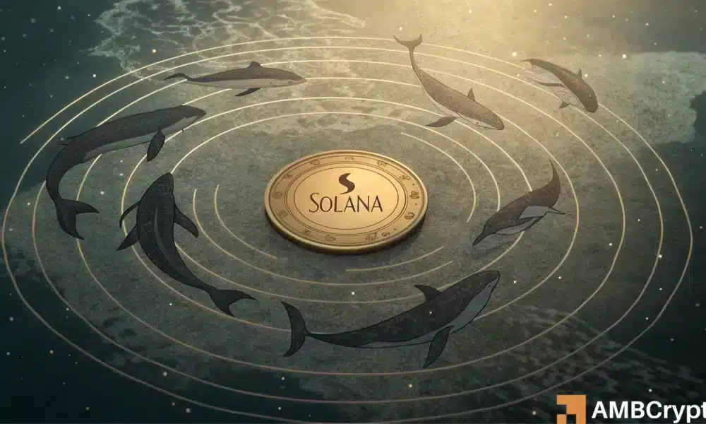 Solana 面临困境?SOL 200 美元梦想为何仍难实现?