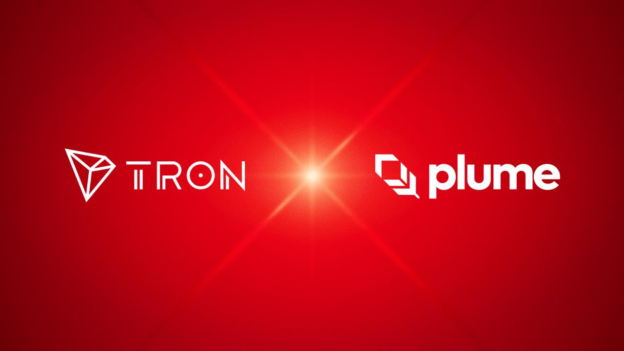 Plume Network 与 SkyLink 集成,助力 TRON 全球支付生态系统实现实际收益