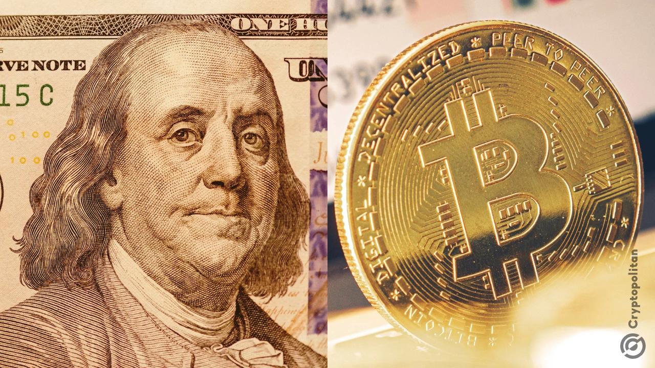 美元测试新低水平，BTC 或将迎来反弹