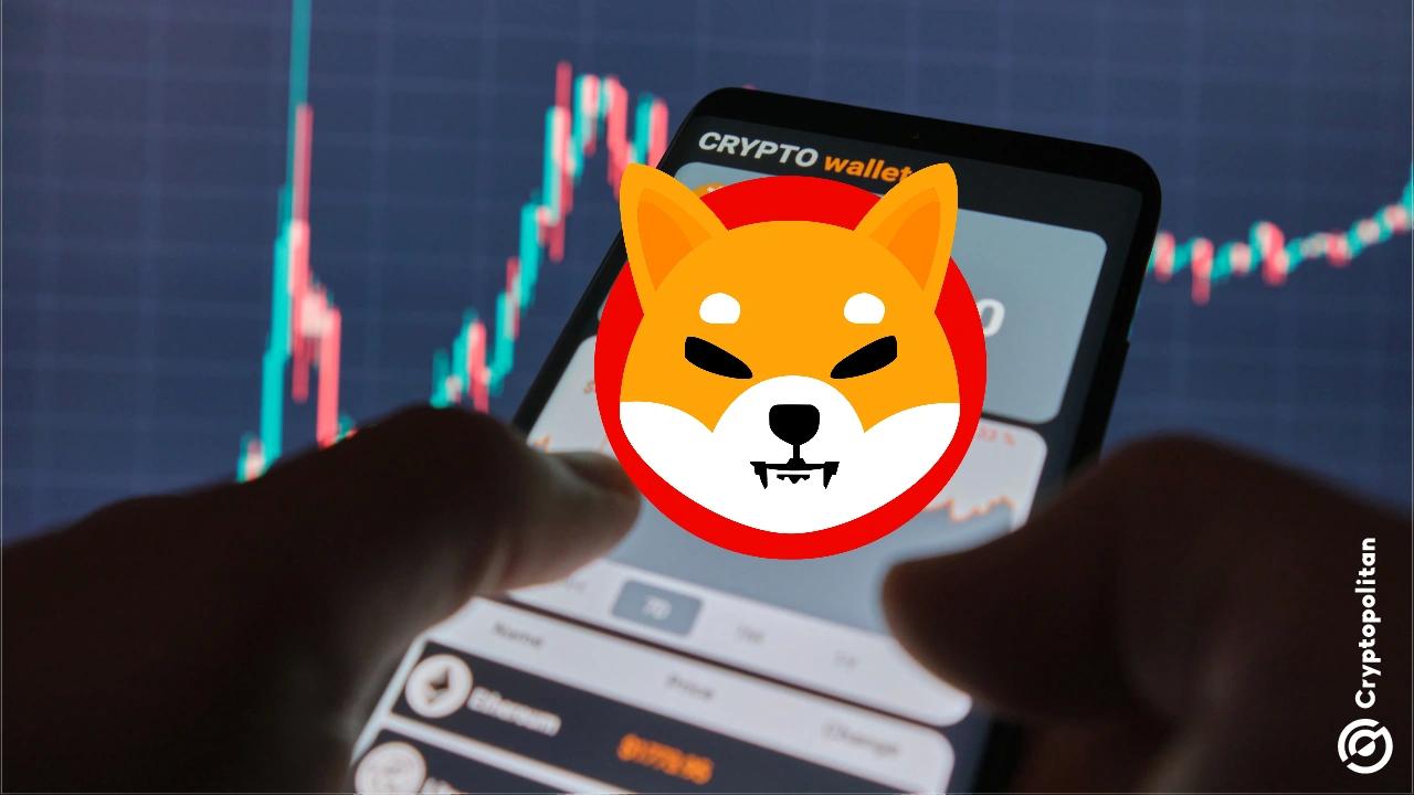 柴犬推出身份识别系统,守护用户数据免受量子计算威胁