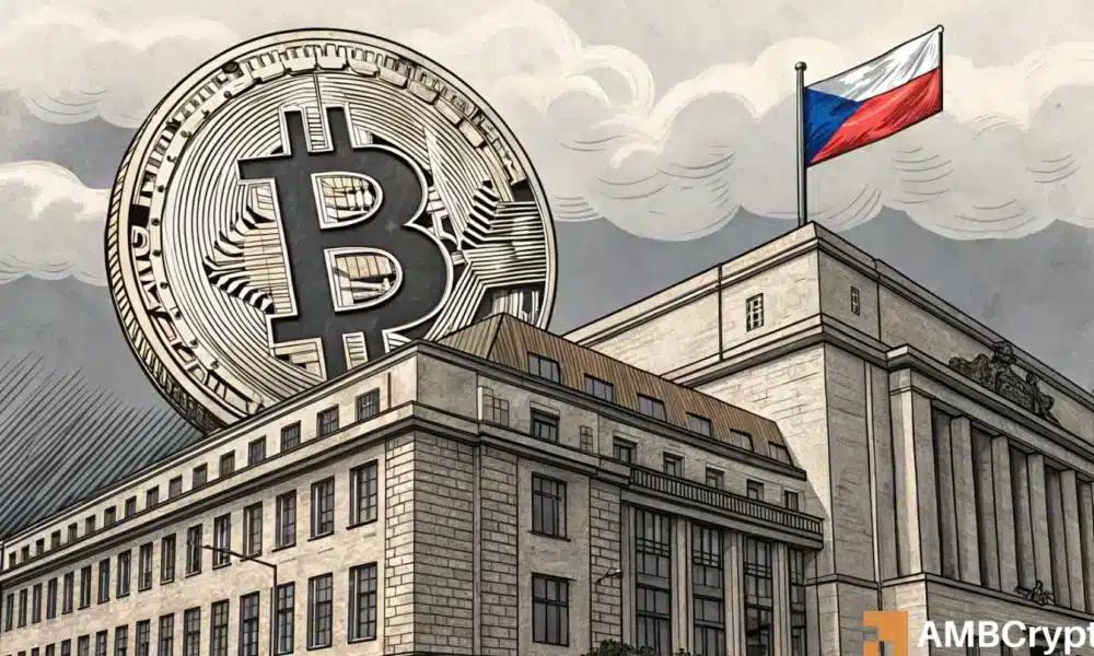 Central Banks Buying Bitcoin? The Silent and Unspoken Risk Exposure That No One is Talking About.