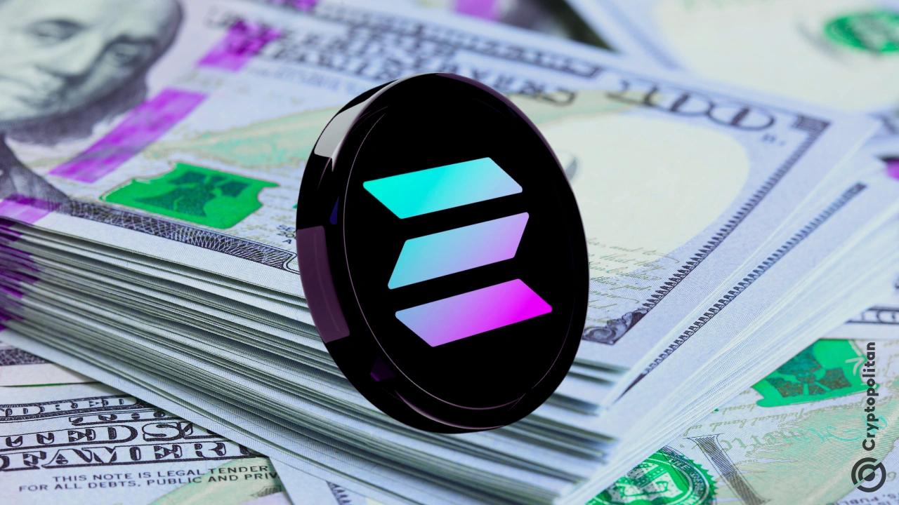 随着 DeFi 发展，基于 Solana 的金融模型将走向全球