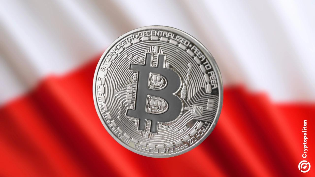 波兰政府承认18% 的波兰人投资了比特币,在法案辩论中讨论加密货币