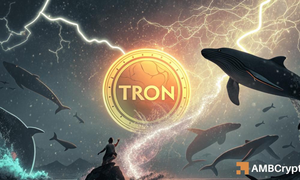 TRON能否反弹？TRX能否突破阻力位？