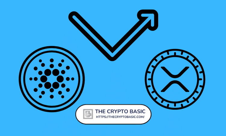 新的XRP和Cardano ETF审批时间安排